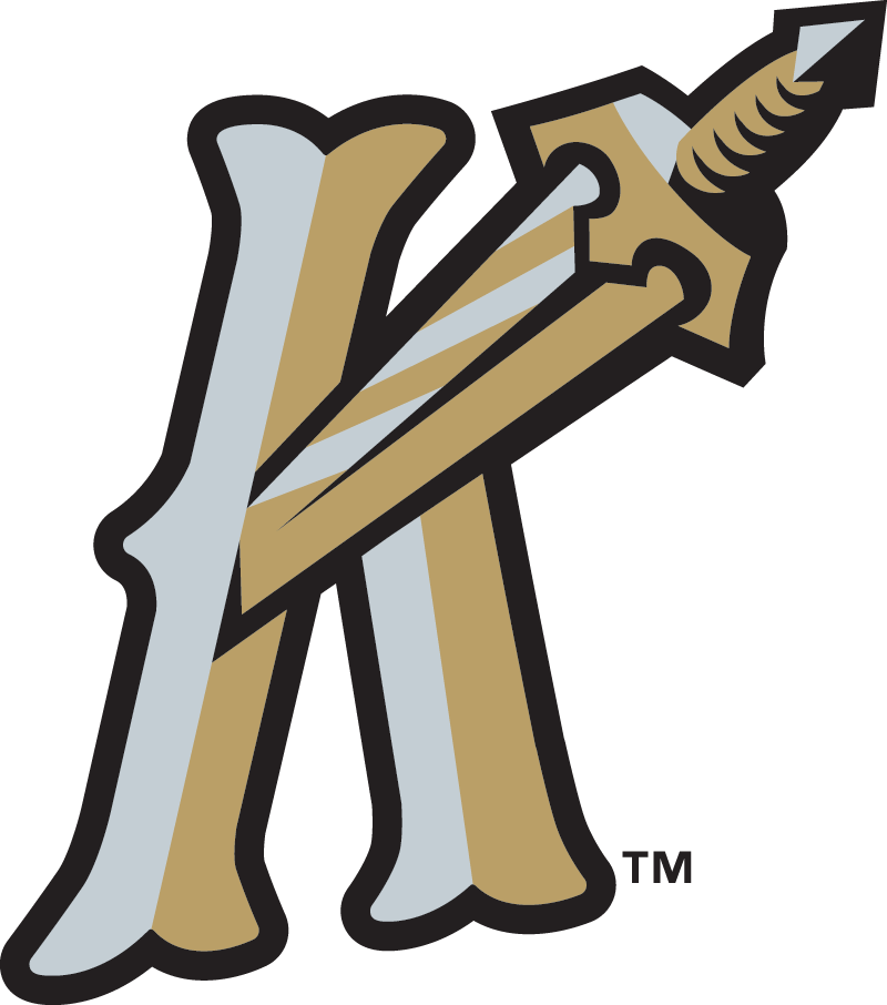 Charlotte Knights 2014-Pres Alternate Logo iron on heat transfer